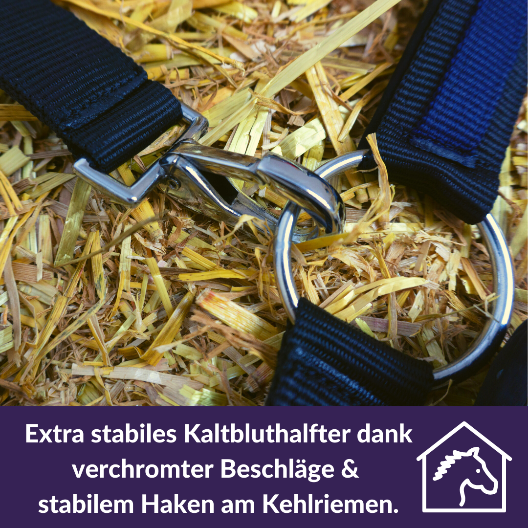 Halfter für Kaltblut Pferde, XXL in blau